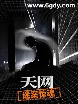 天网：迷案惊魂(2025)完结已完结迅雷网盘全集下载