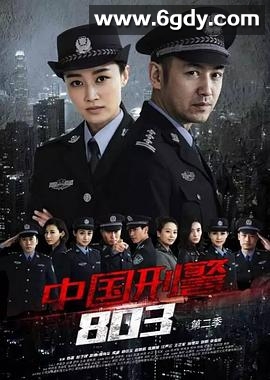 中国刑警803英雄本色(2017)完结45集全迅雷网盘全集下载