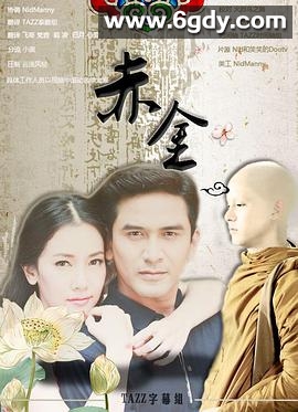 赤金(2013)完结已完结迅雷网盘全集下载