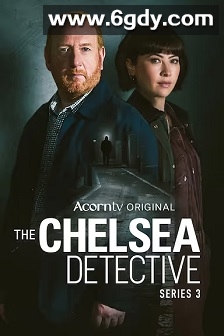 切尔西侦探 第三季(2024)完结4集全迅雷网盘全集下载