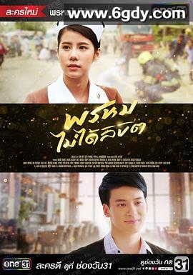 命中不注定(2018)完结54集全迅雷网盘全集下载