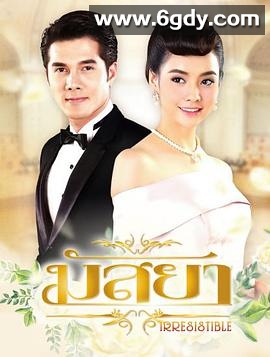 新鱼之恋(2017)完结全40集迅雷网盘全集下载