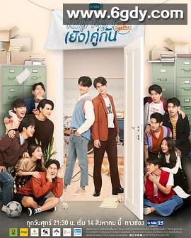 假偶天成 特别篇(2020)完结已完结 共5集迅雷网盘全集下载