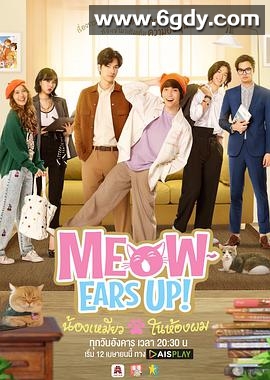 好久不见啊喵(2022)完结已完结迅雷网盘全集下载