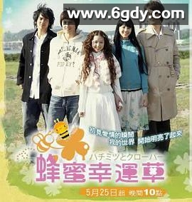 蜂蜜幸运草(2008)完结更新至23集迅雷网盘全集下载