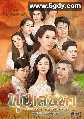 爱的领域(2020)完结全19集迅雷网盘全集下载