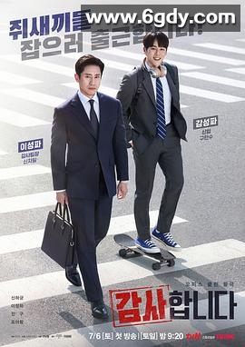 监察(2024)完结12集全迅雷网盘全集下载