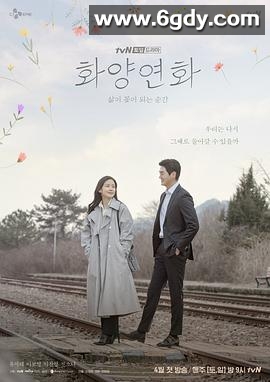 花样年华-生如夏花(2020)完结16集全迅雷网盘全集下载