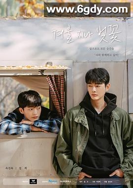 冬后是樱花(2022)完结8集全迅雷网盘全集下载