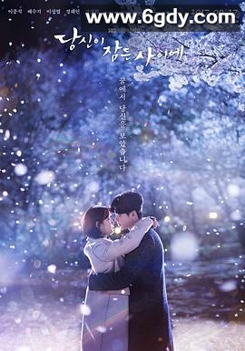 当你沉睡时(2017)完结16集全迅雷网盘全集下载