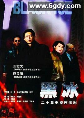 黑冰(2001)完结全20集迅雷网盘全集下载