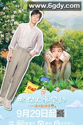 嘿！你大事很妙(2021)完结全24集迅雷网盘全集下载