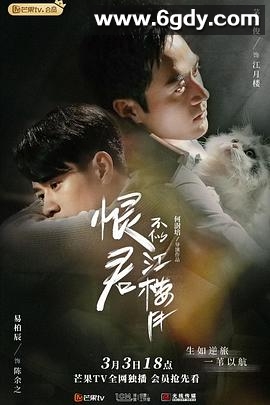 恨君不似江楼月(2021)完结全37集迅雷网盘全集下载