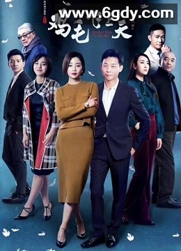 鸡毛飞上天(2017)完结55集全迅雷网盘全集下载