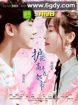 护花高手在都市(2018)完结全15集迅雷网盘全集下载