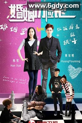 婚姻历险记(2017)完结更新至41集已完结迅雷网盘全集下载