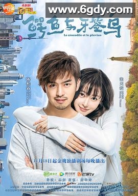 鳄鱼与牙签鸟(2019)完结全50集迅雷网盘全集下载