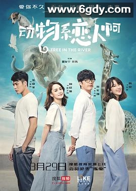 动物系恋人啊(2018)完结全20集迅雷网盘全集下载