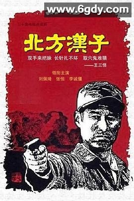 北方汉子(2010)完结全33集迅雷网盘全集下载