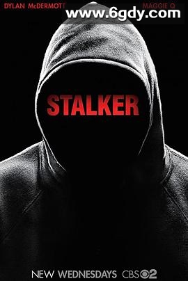 跟踪者(2014)完结20集全迅雷网盘全集下载