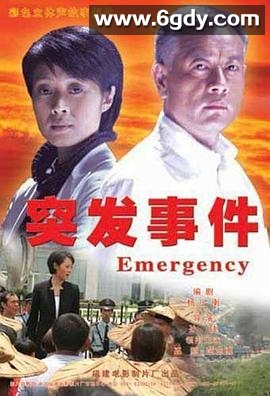 突发事件(2007)完结已完结迅雷网盘全集下载