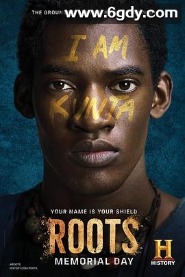 根(2016)完结更新至04集完结迅雷网盘全集下载