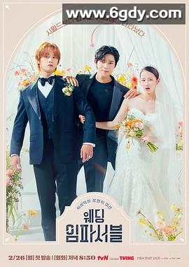 不可能的婚礼(2024)完结12集全迅雷网盘全集下载