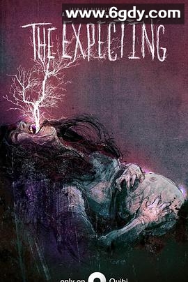 怀孕(2020)完结全11集迅雷网盘全集下载