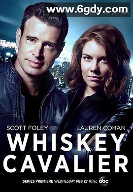 互怼特工(2019)完结13集全迅雷网盘全集下载