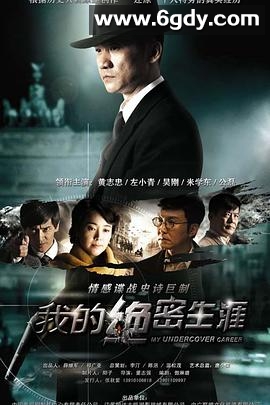 我的绝密生涯(2014)完结全38集迅雷网盘全集下载