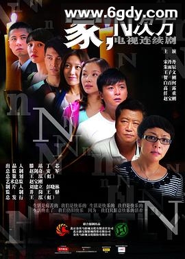 家，N次方(2011)完结全30集迅雷网盘全集下载