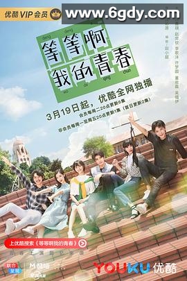 等等啊我的青春(2019)完结24集全迅雷网盘全集下载