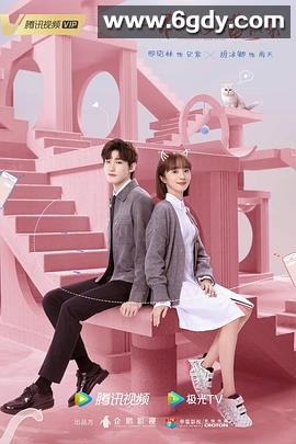 一不小心喵上你(2022)完结全24集迅雷网盘全集下载