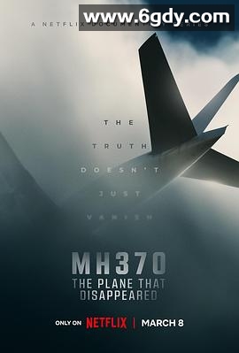 MH370：消失的航班(2023)完结3集全迅雷网盘全集下载
