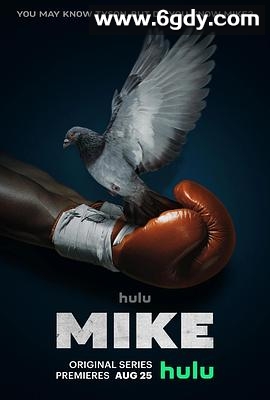 泰森传奇(2022)完结8集全迅雷网盘全集下载