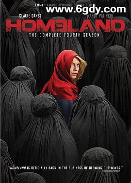 国土安全 第四季(2014)完结12集全迅雷网盘全集下载