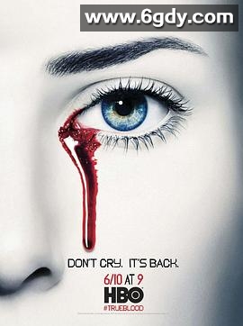 真爱如血 第五季(2012)完结12集全迅雷网盘全集下载