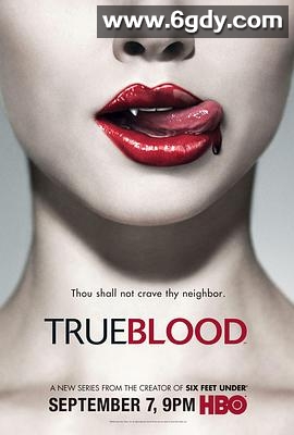 真爱如血 第一季(2008)完结12集全迅雷网盘全集下载