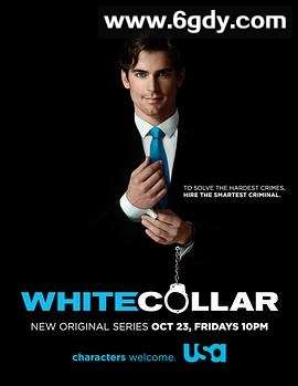 妙警贼探 第一季(2009)完结14集全迅雷网盘全集下载