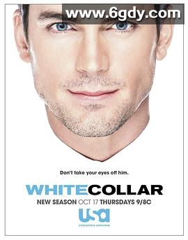 妙警贼探 第五季(2013)完结13集全迅雷网盘全集下载