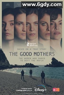 好母亲(2023)完结6集全迅雷网盘全集下载