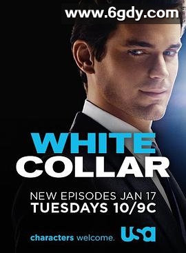 妙警贼探 第三季(2011)完结16集全迅雷网盘全集下载