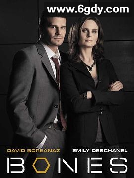 识骨寻踪 第一季(2005)完结22集全迅雷网盘全集下载