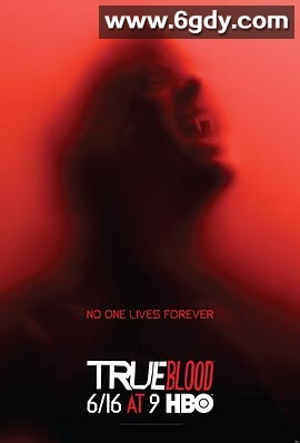 真爱如血 第六季(2013)完结10集全迅雷网盘全集下载