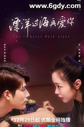 漂洋过海再爱你(2023)完结28集全迅雷网盘全集下载