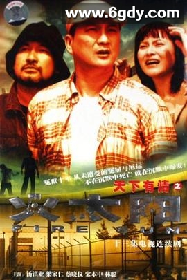 天下有情之火太阳国语(2005)完结已完结迅雷网盘全集下载