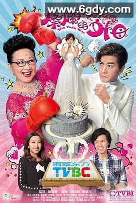 灿烂的外母粤语(2017)完结完结迅雷网盘全集下载