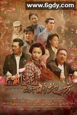 在桃花盛开的地方(2019)完结30集全迅雷网盘全集下载