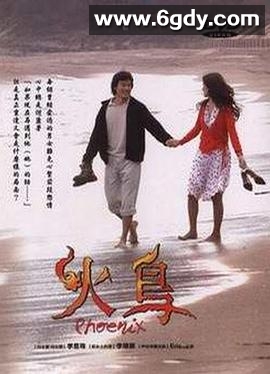 火鸟(2004)完结已完结迅雷网盘全集下载