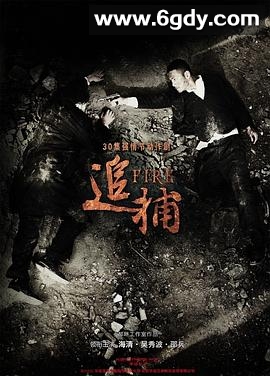 追捕2010(2010)完结已完结迅雷网盘全集下载